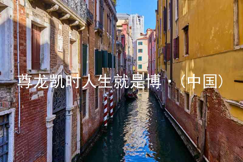 尊龙凯时人生就是博·(中国)